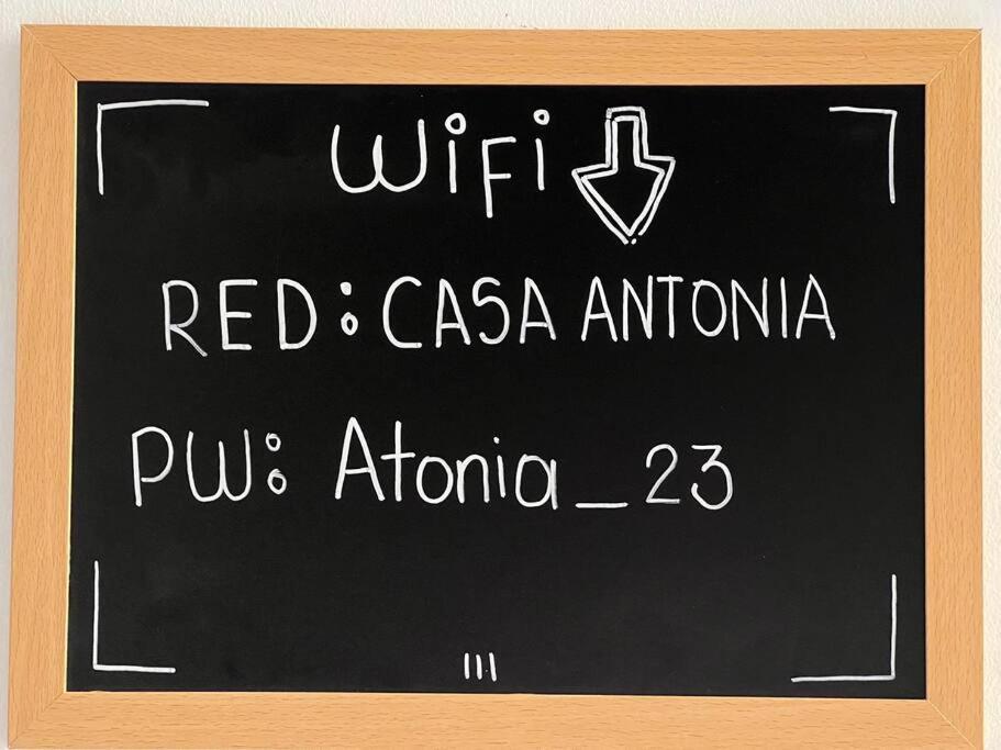 Nueva En San Antonio Cali, La Casa De Tona Villa Exteriör bild